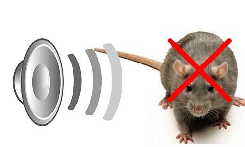 Mạch đuổi chuột, mạch đuổi gián, đuổi muỗi